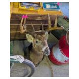 VINTAGE 10PT DEER TAXIDERMY MOUNT, 18IN SPREAD