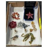 JEWLED PINS AND EARRINGS