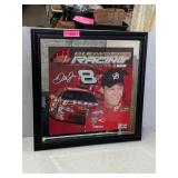 BUDWEISER NASCAR DALE JR. MIRROR