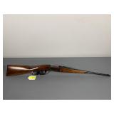 SAVAGE 1899 LEVER ACTION, .22 HP