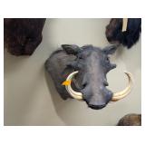 WARTHOG MOUNT - 20x17x24
