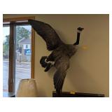 CANADA GOOSE WALL MOUNT
