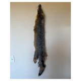 GRAY FOX PELT