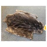 SHEARED BEAVER PELT