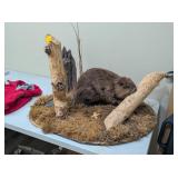 BEAVER MOUNT - 34x24x22