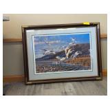 MICHAEL SIEVE - SNOW GOOSE PRINT 3861/4000