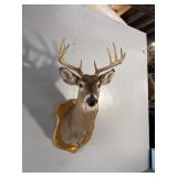 9PT BUCK - 15IN SPREAD