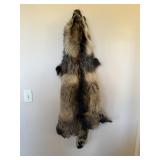 FINN RACCOON PELT