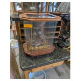 BOBWHITE QUAIL DISPLAY WITH LAMP - 12x15x34