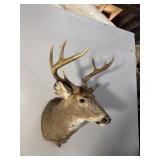 8PT BUCK - THICK FRAME - 16.5 SPREAD