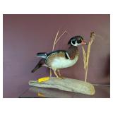MALLARD WOOD DUCK MOUNT