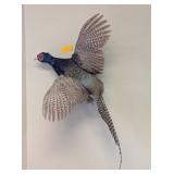 FLYING PHEASANT WALL MOUNT