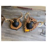 2 - WHITETAIL ANTLER MOUNTS