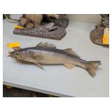 21' WALLEYE WALL MOUNT
