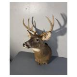 8PT BUCK MOUNT - 16.25IN SPREAD