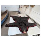 BEAR SKIN RUG - 64LONG X 67 WIDE