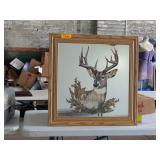 WHITETAIL BUCK DEER MIRROR 24.5X24.5