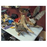 TRIPLE WOOD DUCK MOUNT