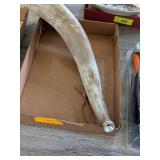 BULL ANTLER HORN