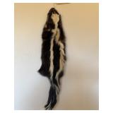 SKUNK PELT