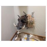 WARTHOG WALL MOUNT - 24x27x18