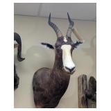BLESBOK MOUNT - 33x14x22