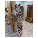 ZEBRA MOUNT ON PEDESTAL - 35x17x67