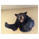 LUNGING BLACK BEAR WALL MOUNT - 20x20x26