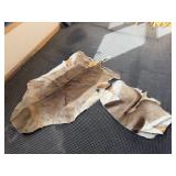2 - SPRINGBOK HIDES