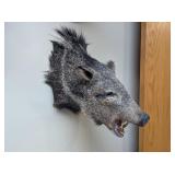 JAVELINA WALL MOUNT