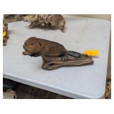 BABY BEAVER MOUNT
