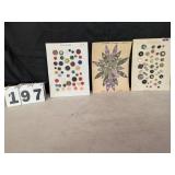 3 Assorted Button Displays