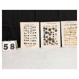 3 Bone, Horn & Hoof & Black Glass Button Displays