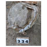 16" Fiberglass Concrete Ball Form