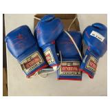 2 Pair Century Kickboxing Gloves