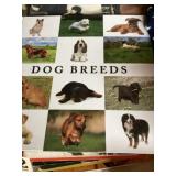 Huge dog breeds book