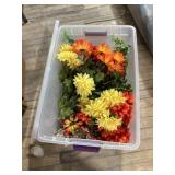 Assorted lot of Flowers