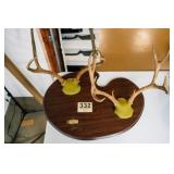 SET OF 2 MULE DEER RACKS ON MOUNT