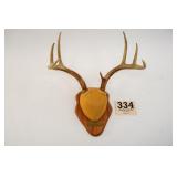 8PT BUCK MOUNT
