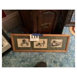 Framed duck prints