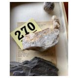 Fossil courts and more