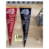 Bloomsburg fair pennant