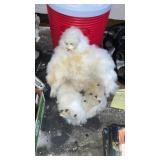 Star Wars plush yeti