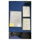 Three glass top padded display cases