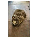 Sheep pelt