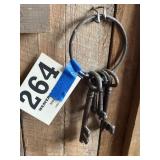 Vintage ring of keys