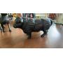 The Estate of Art & Ann Albertson Online Auction
