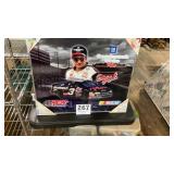 Metal Lithograph Dale Earnhardt Wall Decor