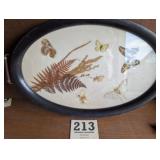 Framed Butterfly Taxidermy Serving Tray