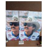 Richard Petty Nascar Promo Posters